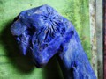 Embryo