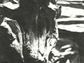 Wellen-der-Empörung